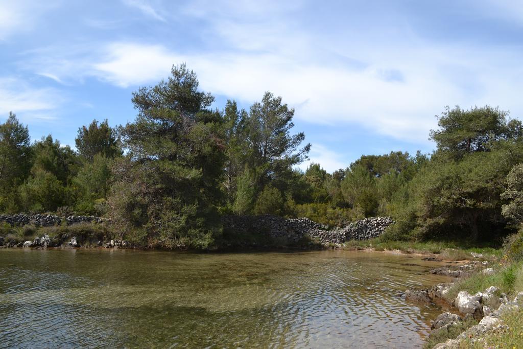 Apartment Nella Molat Εξωτερικό φωτογραφία