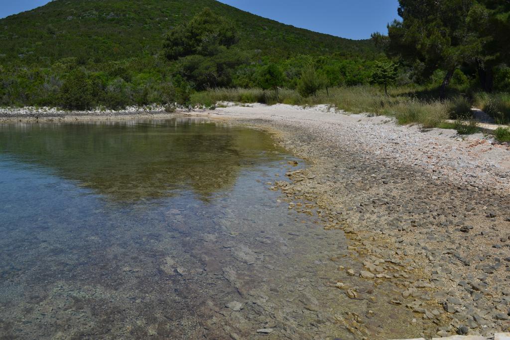 Apartment Nella Molat Εξωτερικό φωτογραφία