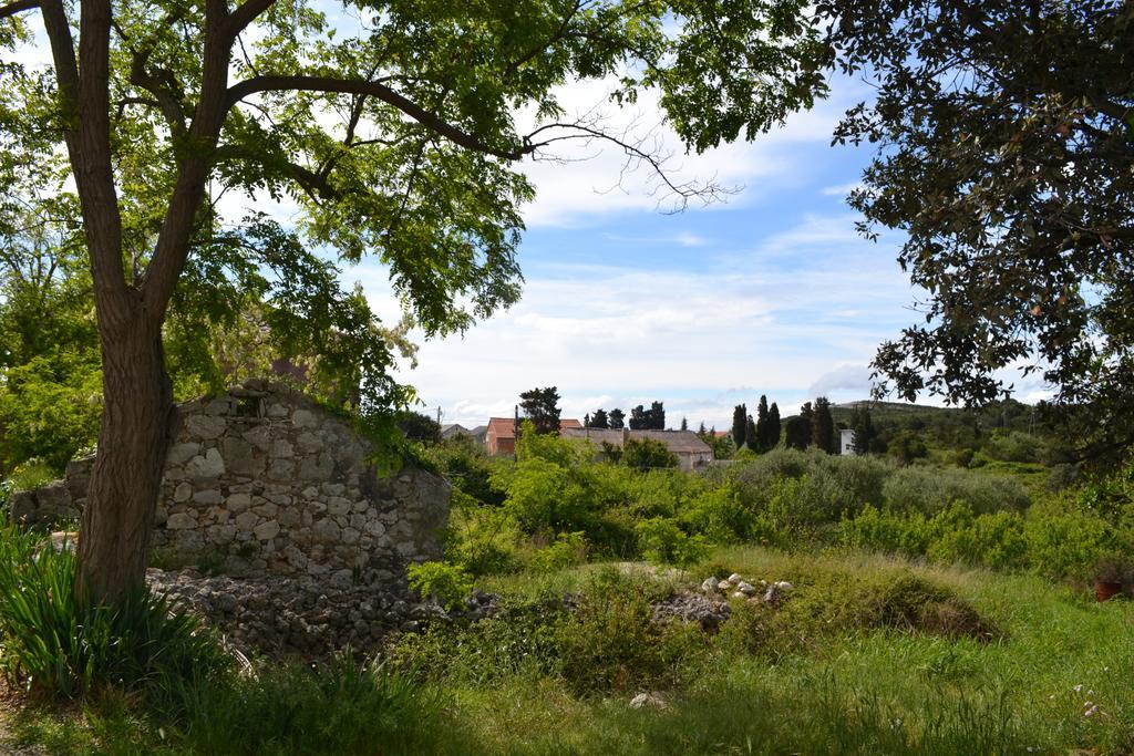 Apartment Nella Molat Εξωτερικό φωτογραφία